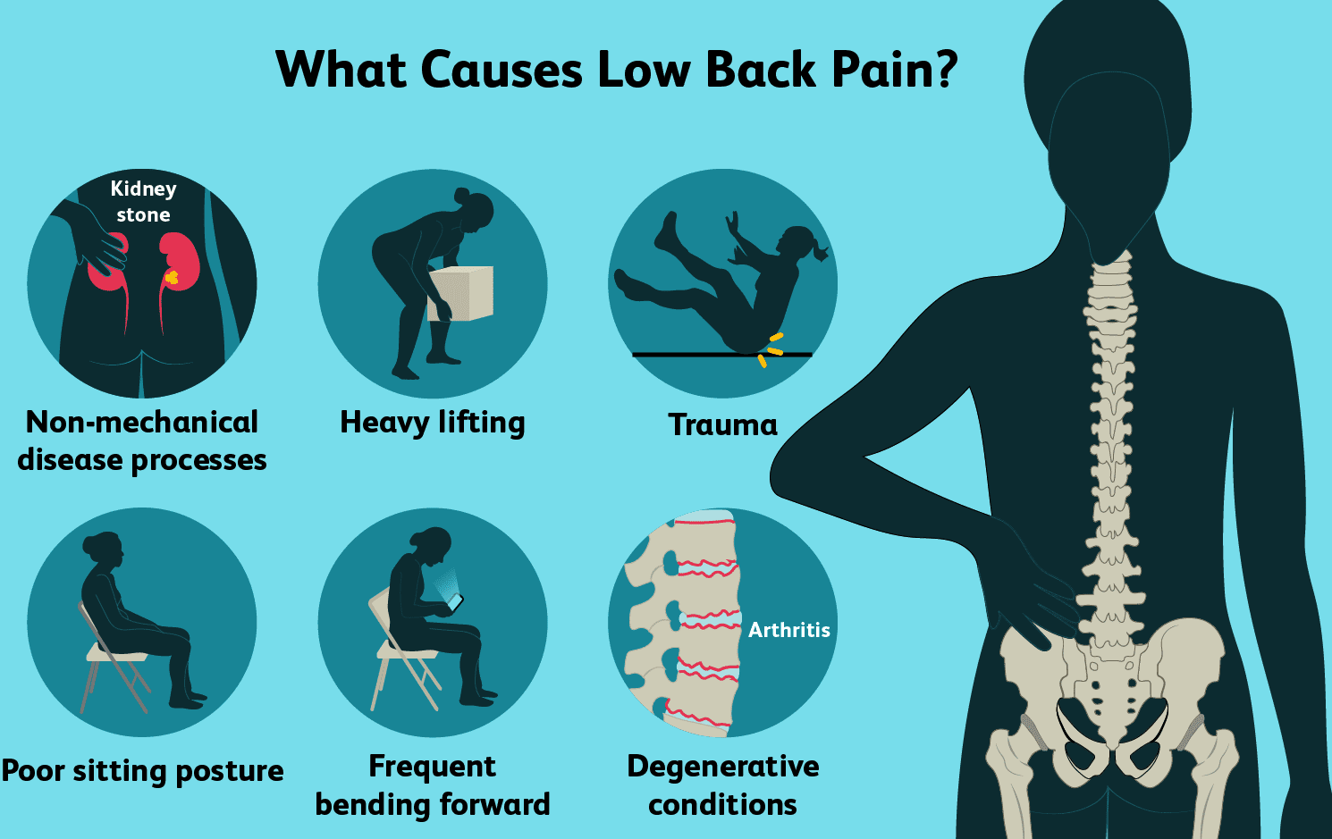 Lower Back Pain Symptoms and Treatment