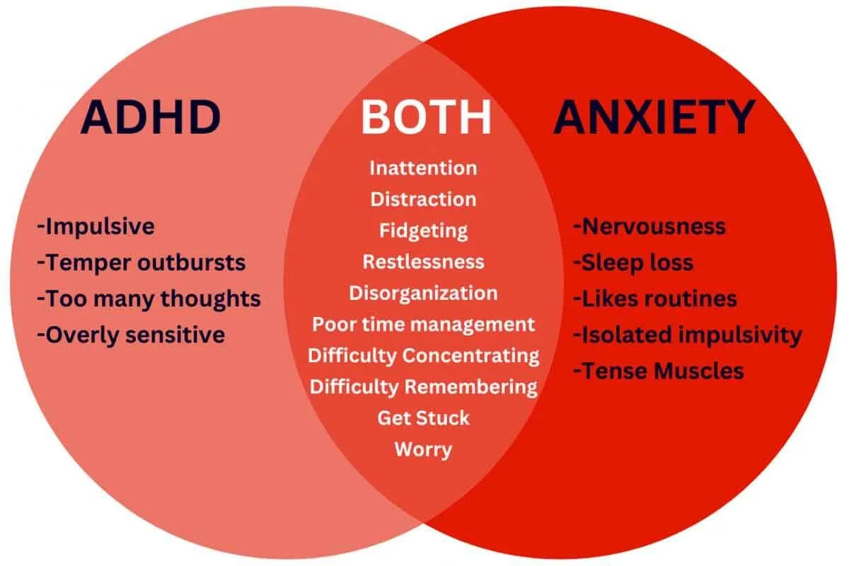 ADHD vs Anxiety Difference
