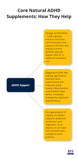Best Supplements for ADHD (2026 Guide)